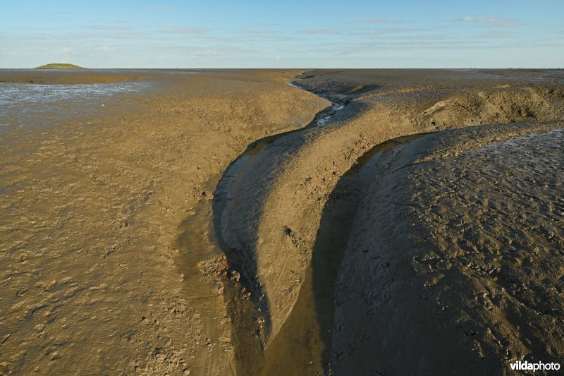 Hedwige-Prosperschor