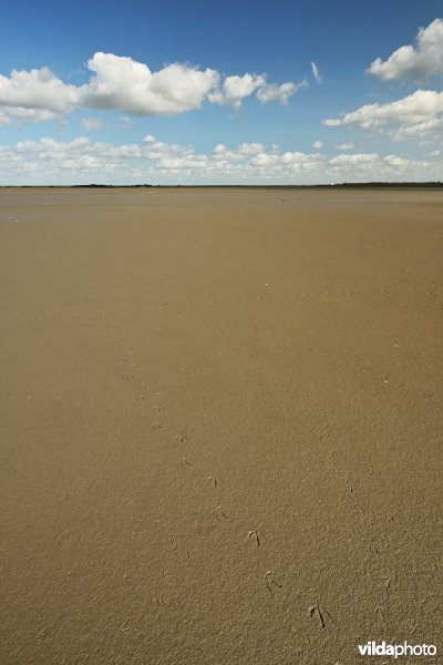 Hedwige-Prosperschor