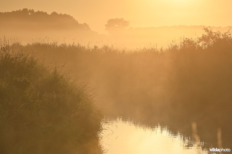 Demervallei: Langdorp