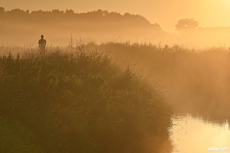 Demervallei: Langdorp