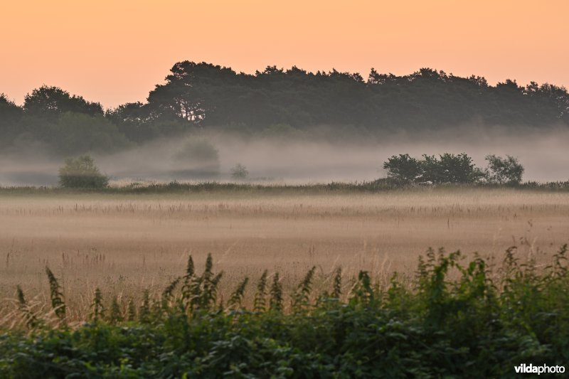 Demervallei: Langdorp
