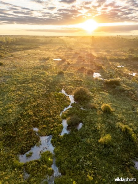 De Most bij zonsopgang