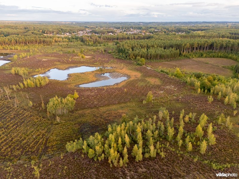 Natuurherstel in Averbode