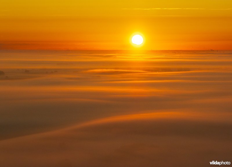 Ochtendnevel en zonsopgang boven Oudekapelle-Lampernisse