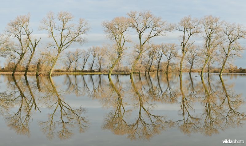 Vijfhuizenbroek