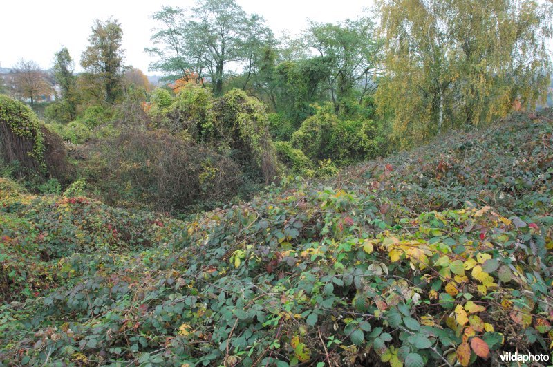 Terril Malgarny in de herfst