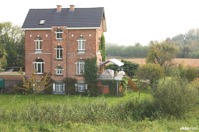 Grote Wal in Kastel