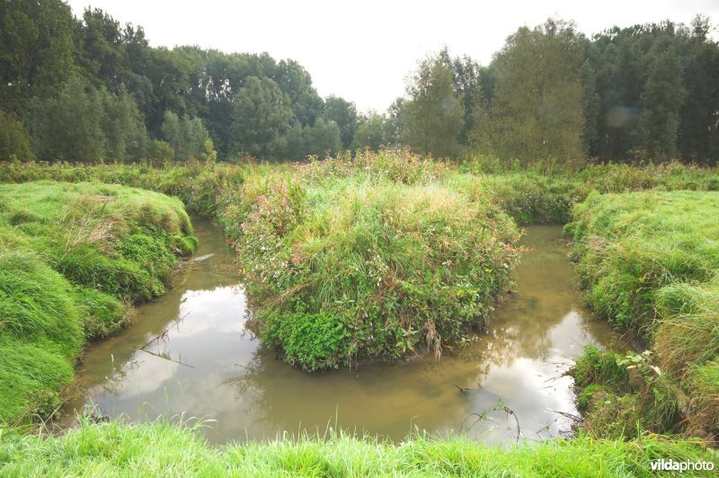 Zwalmvallei in de Vlaamse Ardennen