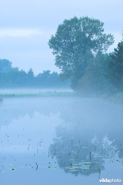 Oude Schelde in de Scherenmeersen