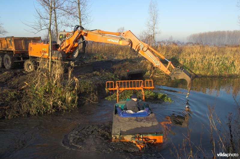 Grote waternavel bestrijding