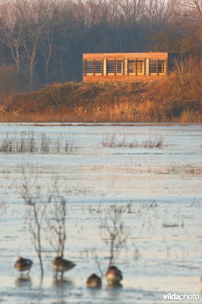 Observatiehut in de Bourgoyen