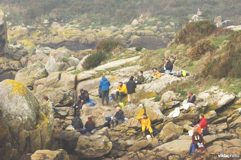 De Strandwerkgroep in Ile Chausey