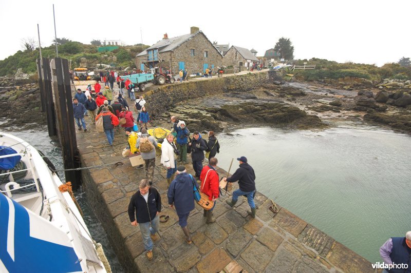 Ile Chausey