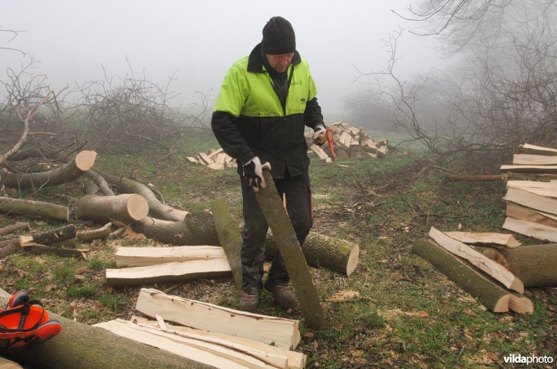 Gebruik van de hand-pikhaak