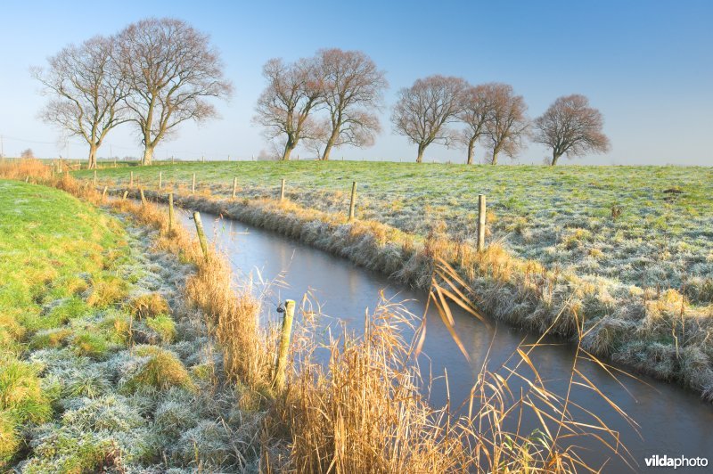 Polders langs de Zoutekreek