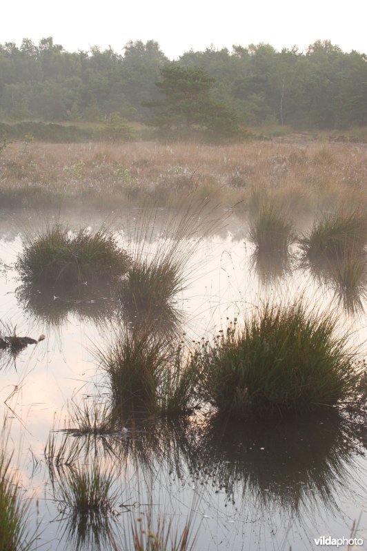 Landschap de Liereman