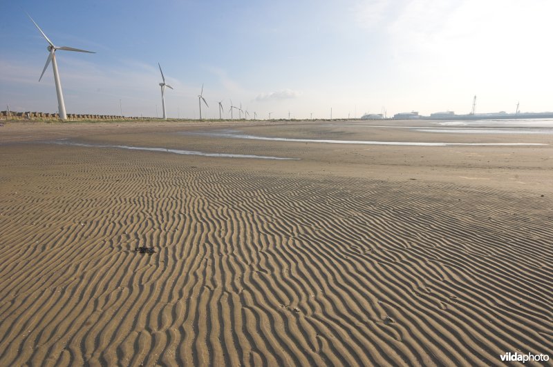 Sterneneiland in haven Zeebrugge