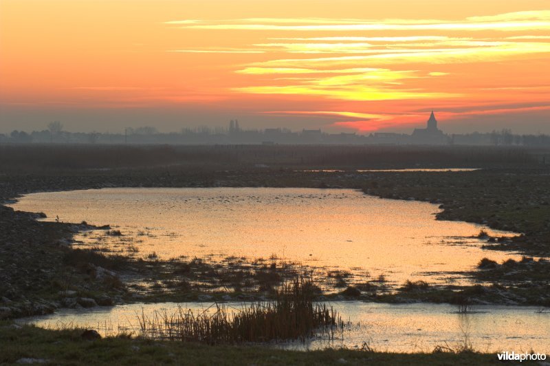 Uitkerkse polders