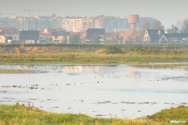 Molenplasje in de Uitkerkse Polders