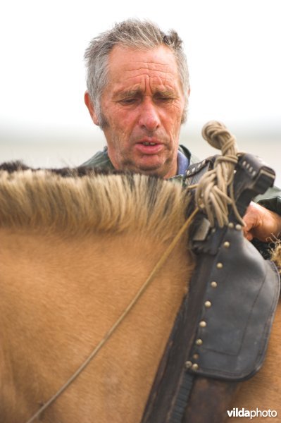 Garnaalvisserij te paard
