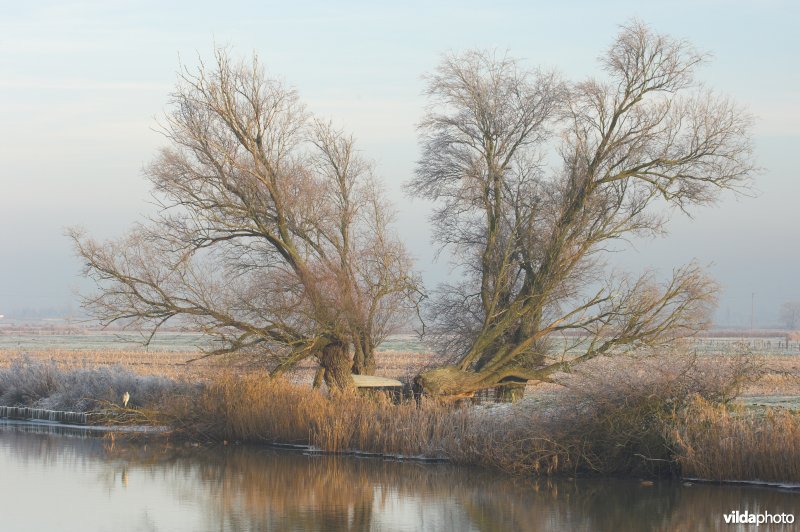 Rivier de IJzer