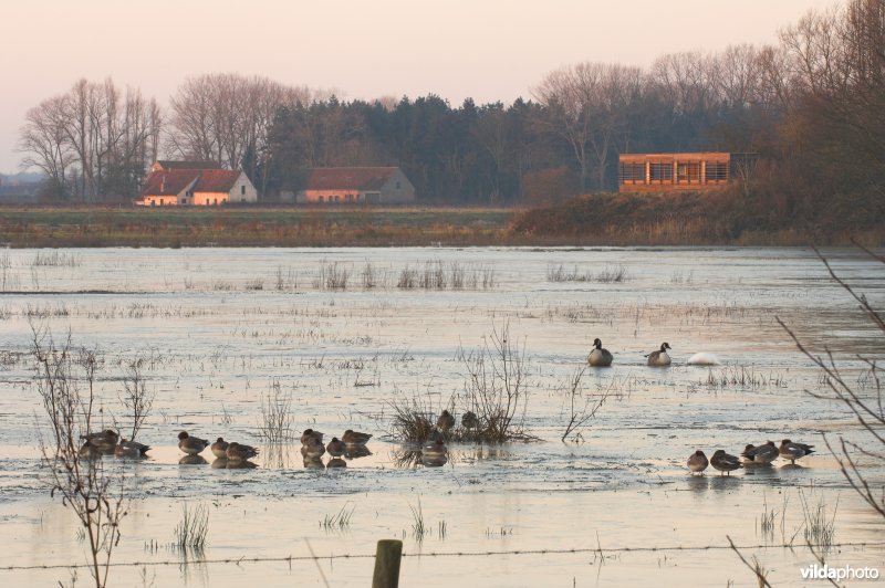 Natuurreservaat de Bourgoyen