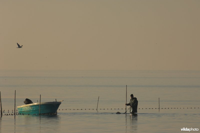 Visser aan het meer van Vaccares