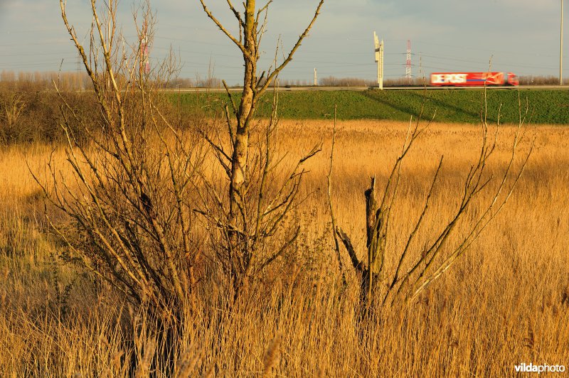 Steenlandpolder