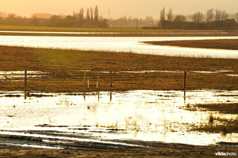 Zoetwaterkreek en Putten West