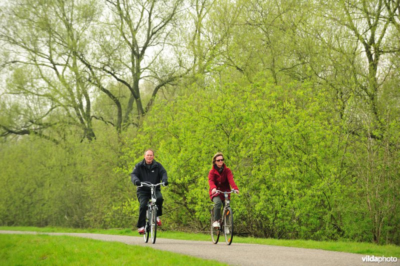 Fietsen op de Scheldedijk