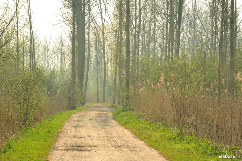 Natuurreservaat Vlassenbroekse Polder