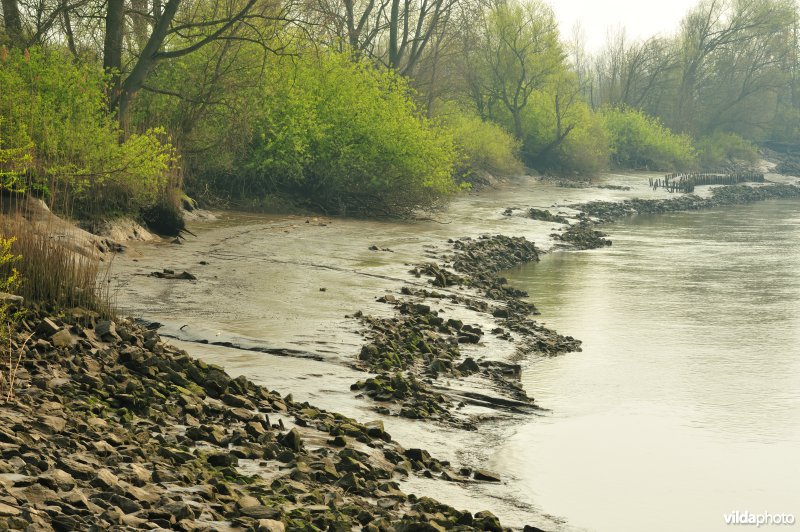 Scheldeoever Vlassenbroekse Polder