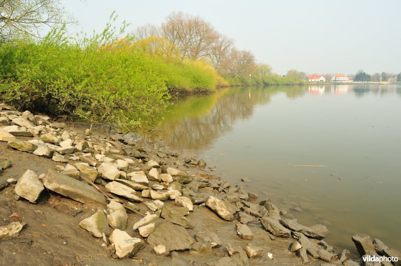 Inlaat van Lippensbroek aan de Schelde