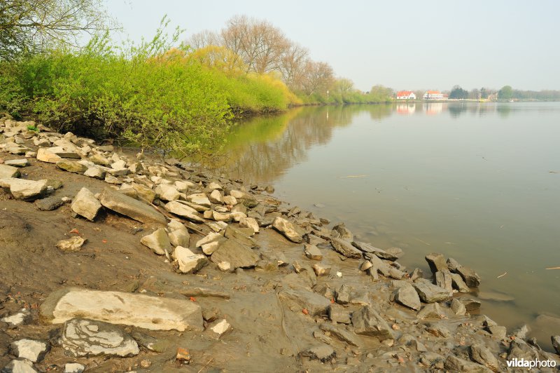 Inlaat van Lippensbroek aan de Schelde