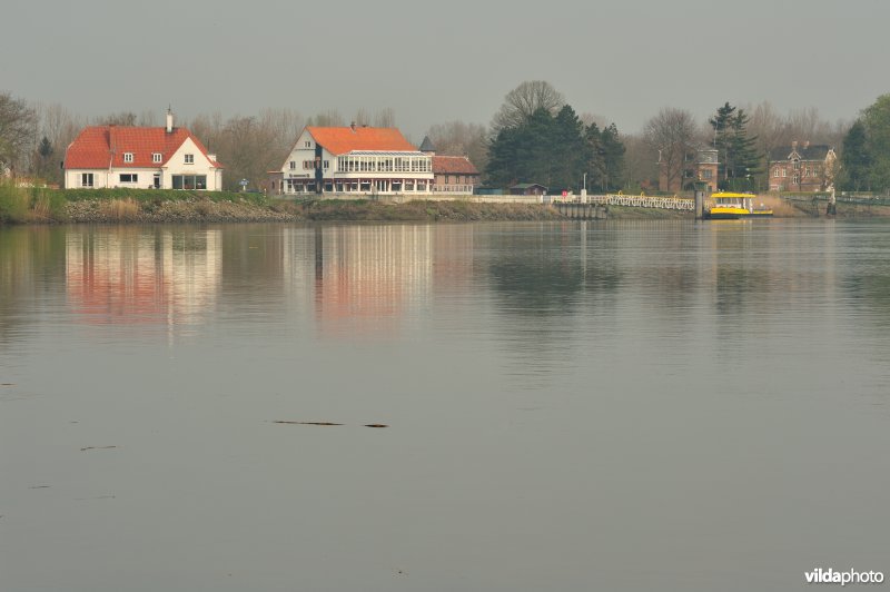 De Schelde te Hamme
