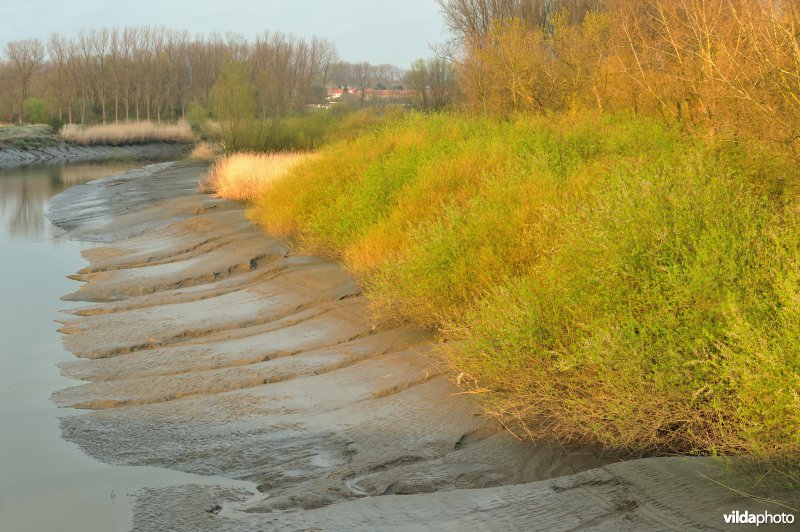 Zoetwaterschor van de Durme
