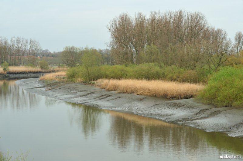 Zoetwaterschor van de Durme