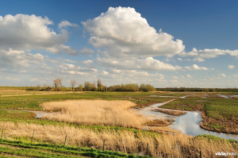 Putten Weiden