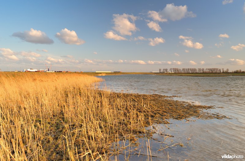 Putten West