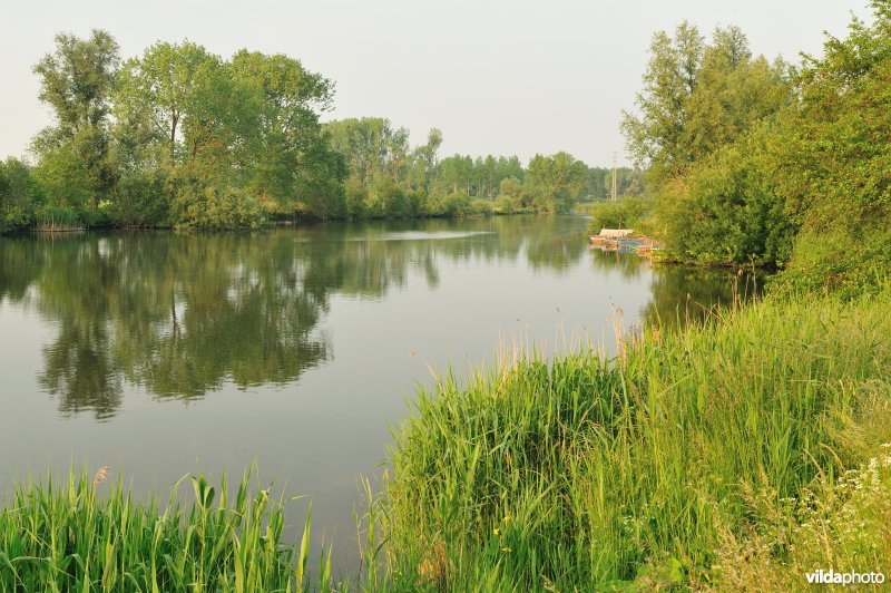 Natuurreservaat Oude Durme