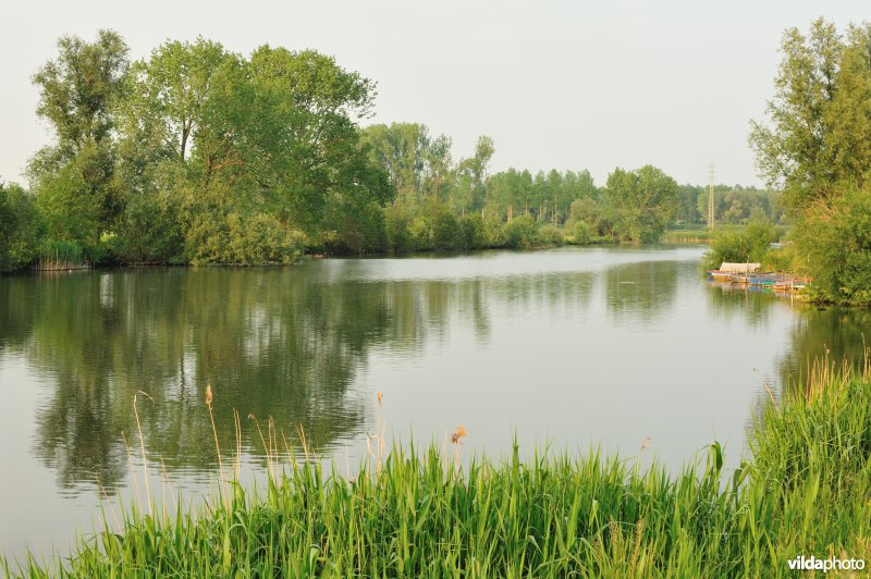 Natuurreservaat Oude Durme