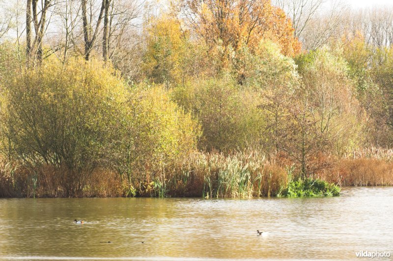 Provinciaal domein Broek De Naeyer