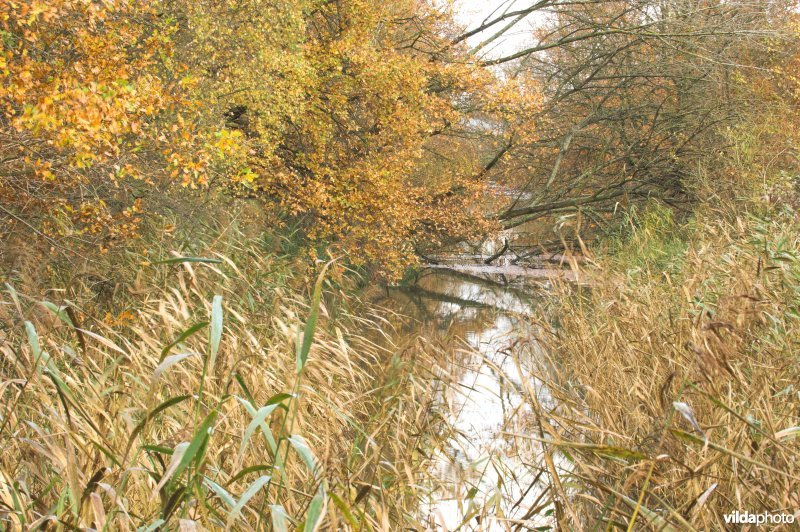 Provinciaal domein Broek De Naeyer