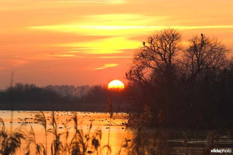 Natuurreservaat De Blankaart