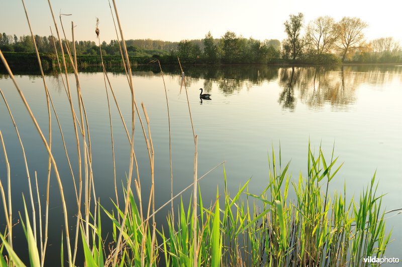 Natuurreservaat Oude Durme