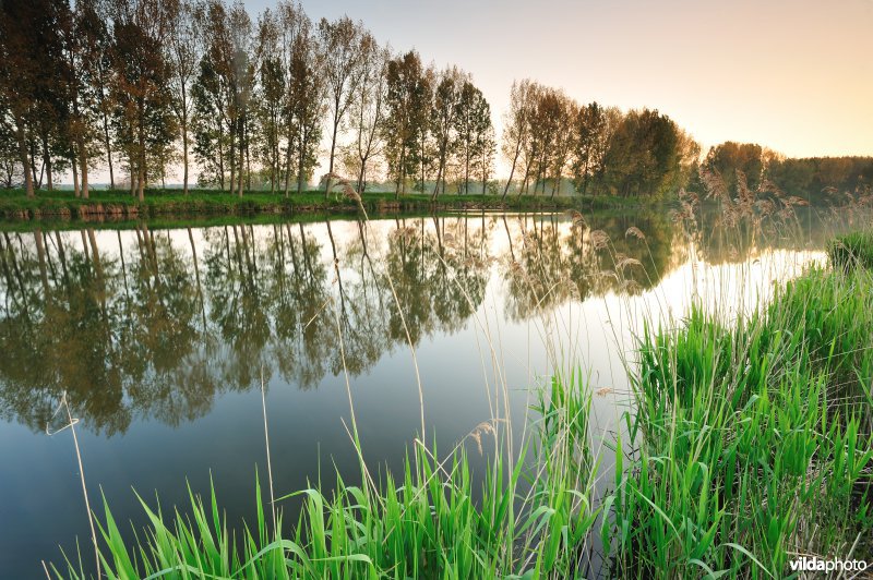 Natuurreservaat Oude Durme