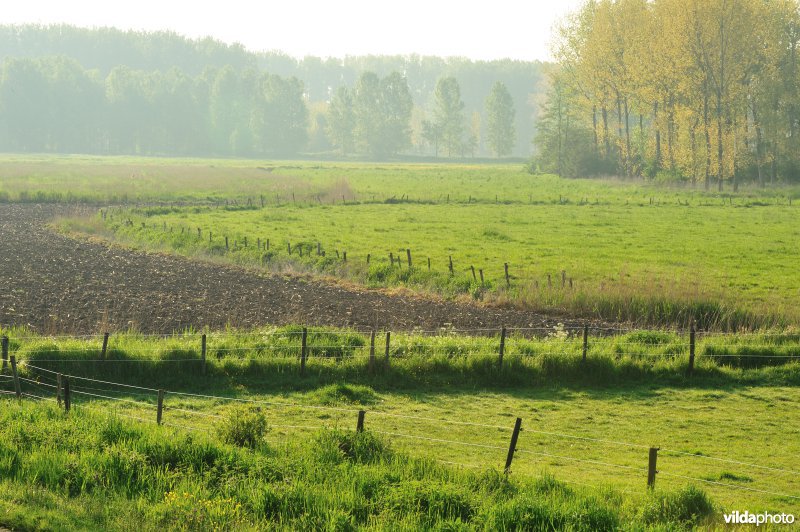 Natuurgebied Weijmeerbroek