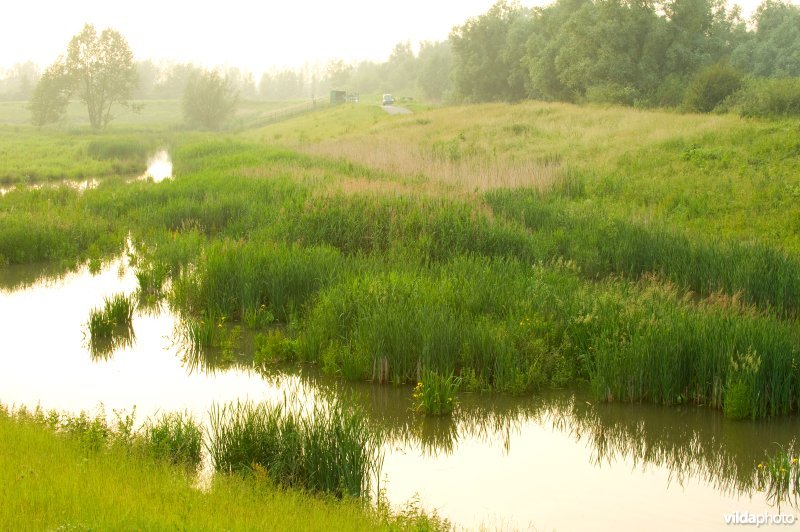 Lippensbroek