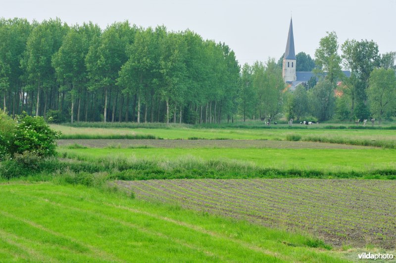 Groot-Broek