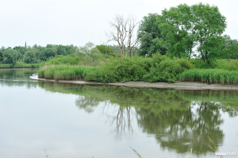 De Durme in Appelsvoorde